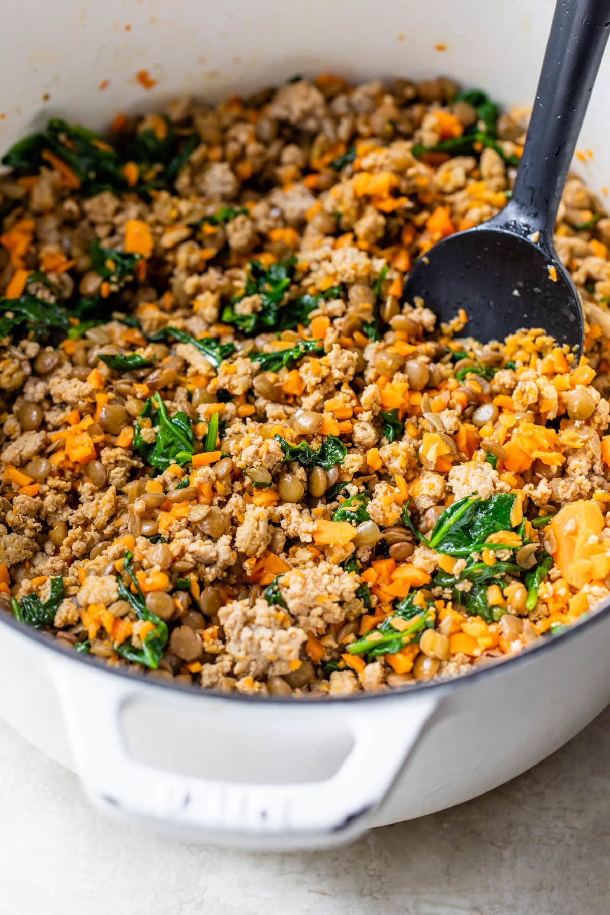 Homemade Dog Food