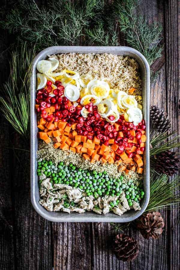 The Best DIY Dog Food with Turkey and Veggies