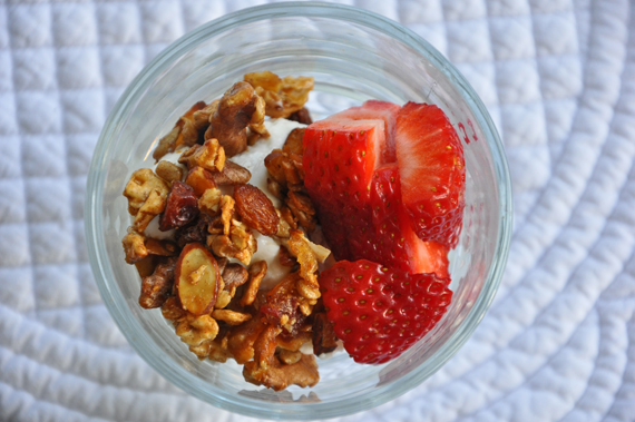 Matzo Granola Supreme