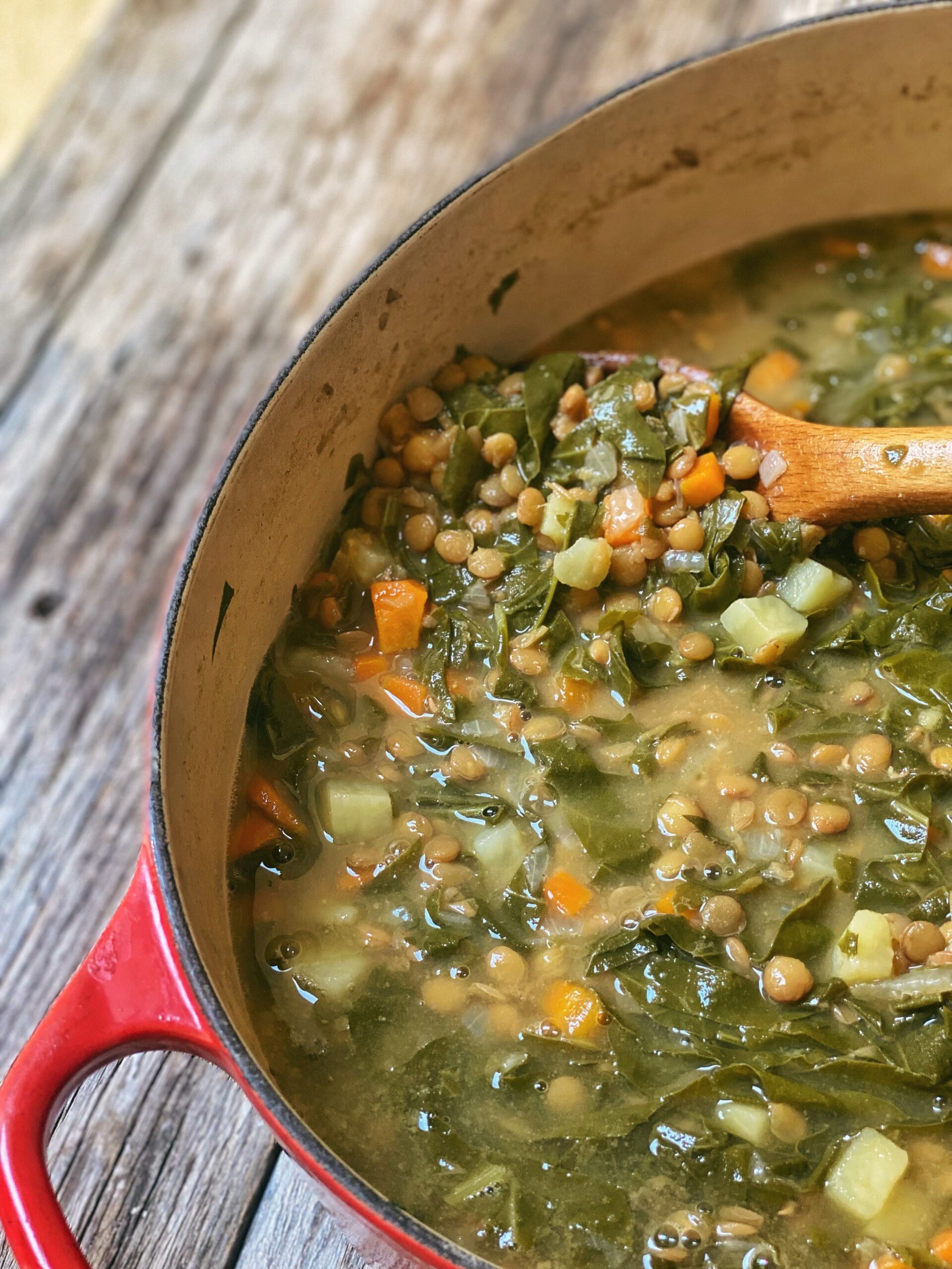 Lebanese Lentils and Swiss chard Soup aka Adas B Hamod